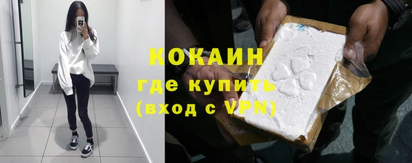 крисы Лагань
