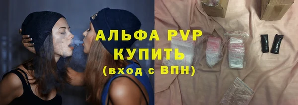 крисы Лагань