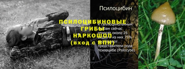 крисы Лагань