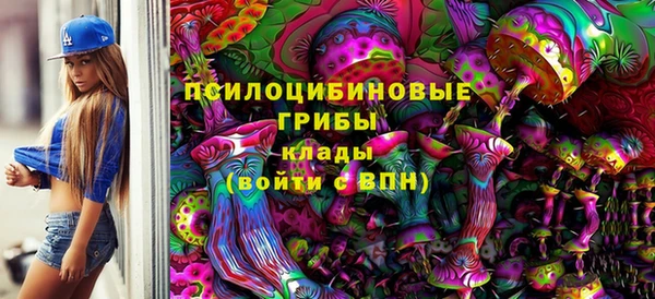 крисы Лагань