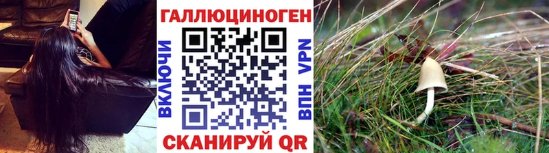 ОМГ ОМГ зеркало  купить наркотик  Талдом  Галлюциногенные грибы Psilocybe 